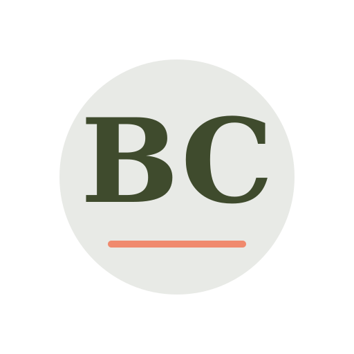 Bright Chimney Service logo